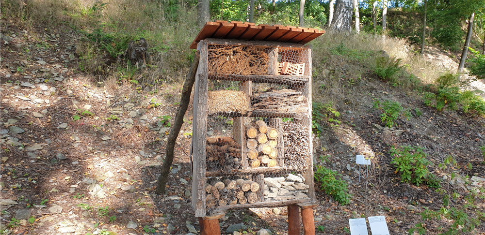 Bienenhotel Bienenhotel